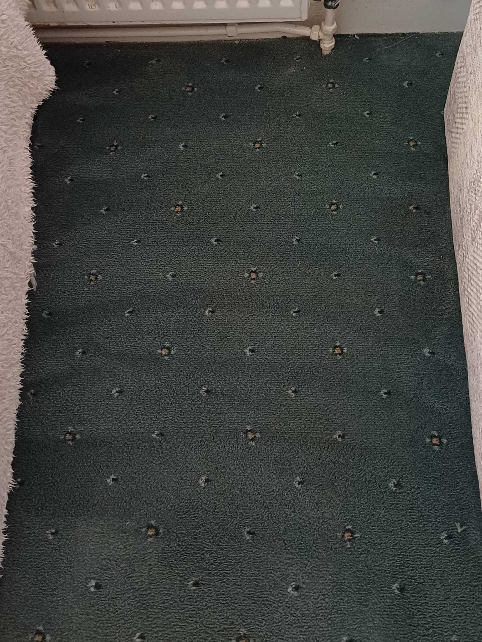 carpet cleaning kent